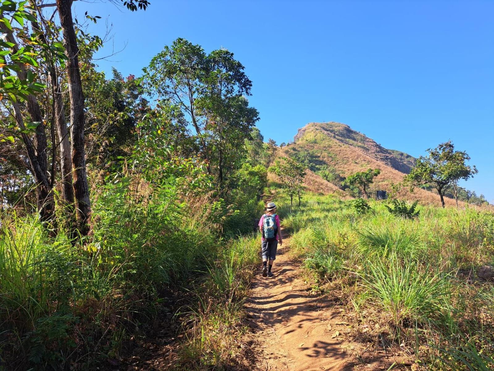 Munnar Village Homes Luaran gambar