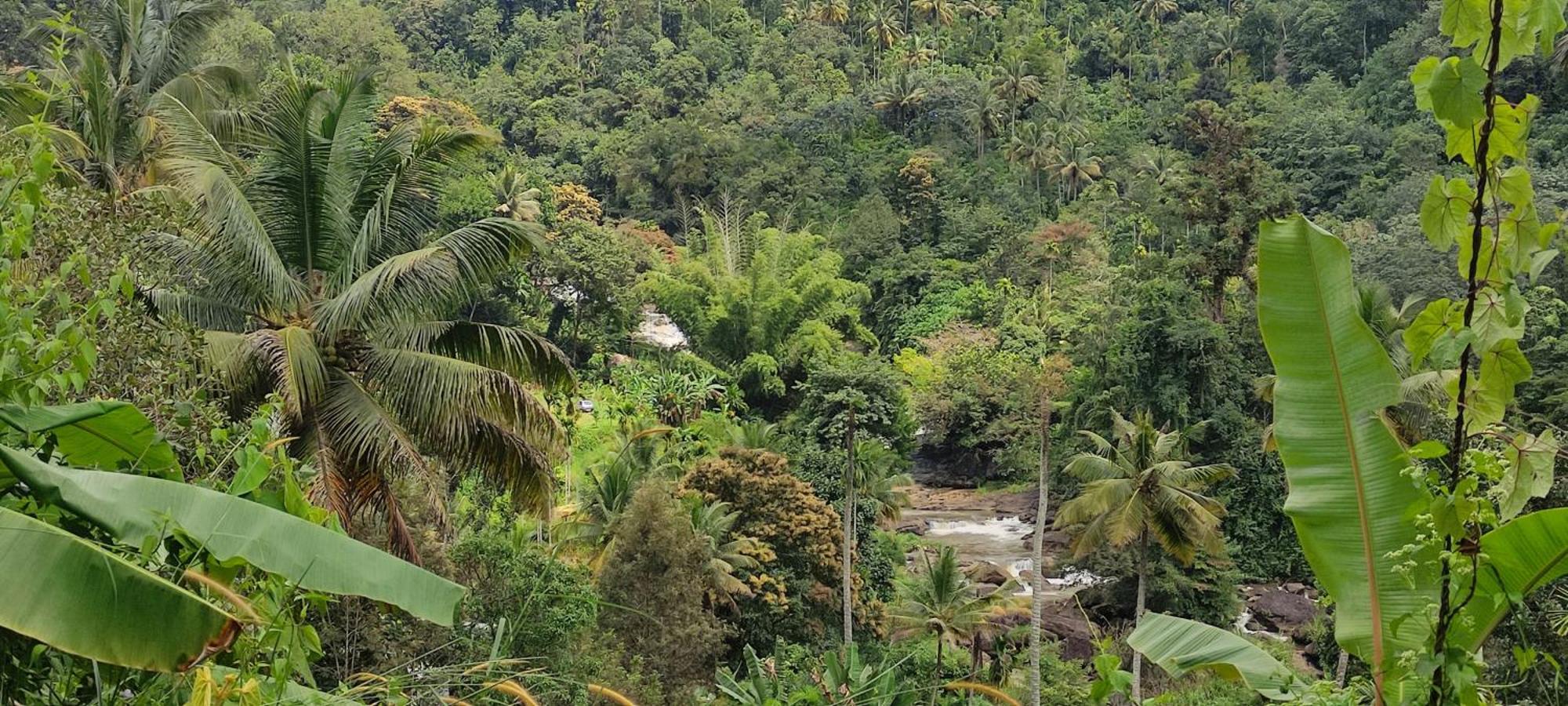 Munnar Village Homes Luaran gambar