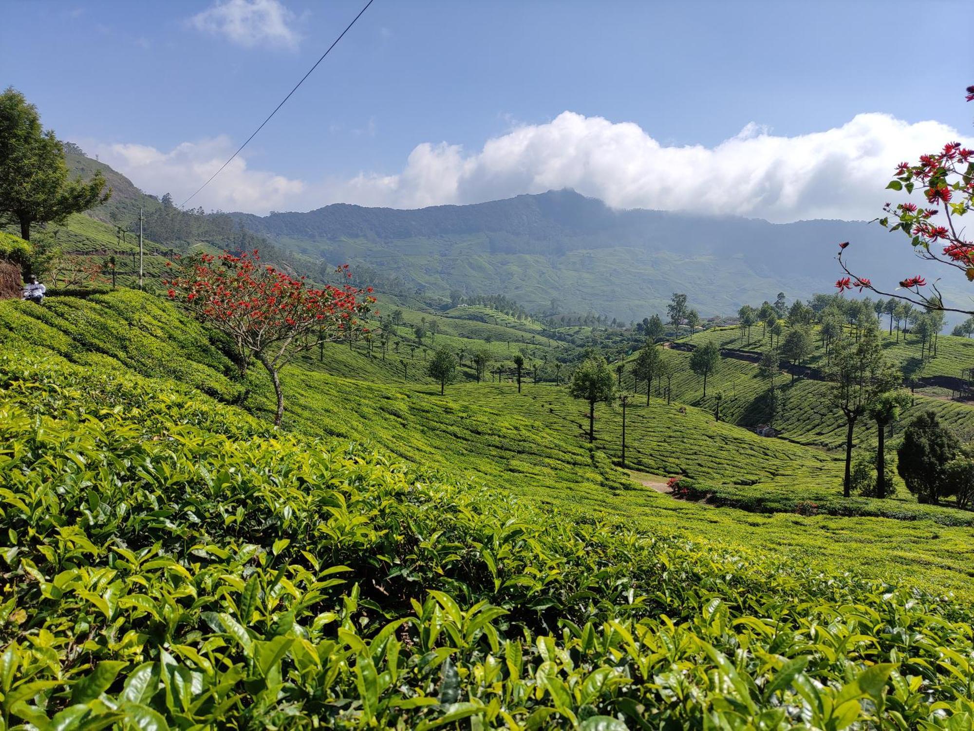 Munnar Village Homes Luaran gambar