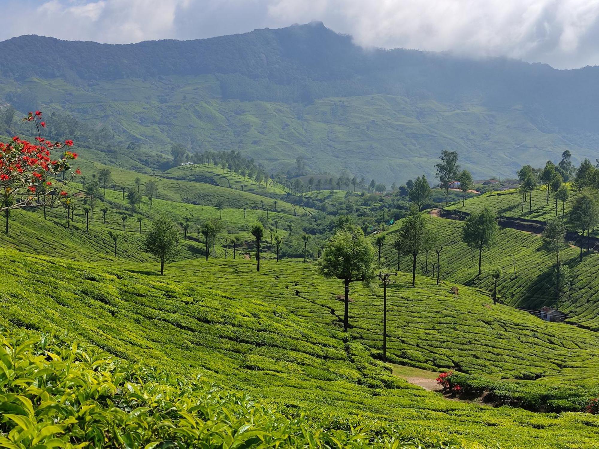 Munnar Village Homes Luaran gambar